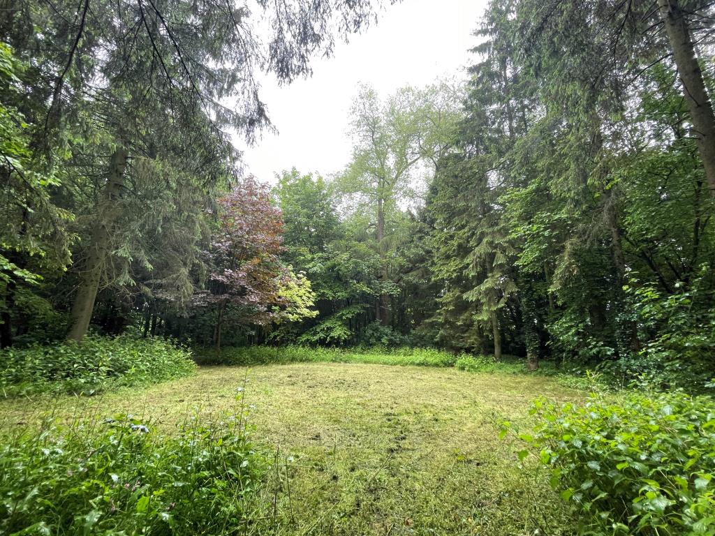 Lot: 125 - APPROXIMATELY 1.4 ACRES OF LAND WITH TWO BUILDINGS - Photo of clearing